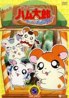 Hamtaro Latino