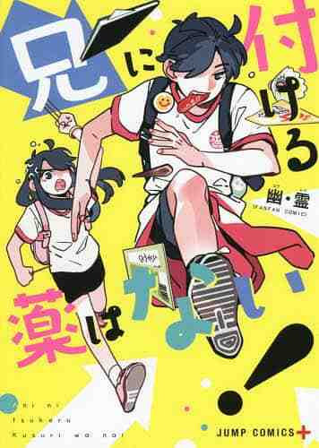 Ani ni Tsukeru Kusuri wa Nai! 3